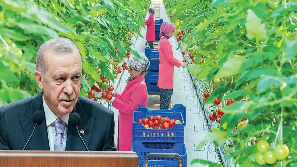 Tarmda yol haritas belli oluyor... Kararlar Erdoan aklayacak