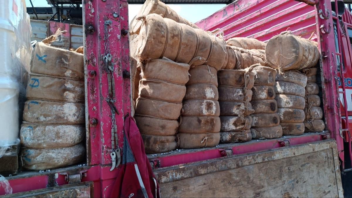zmir'de tketime uygun olmayan 7 ton peynir imha edildi