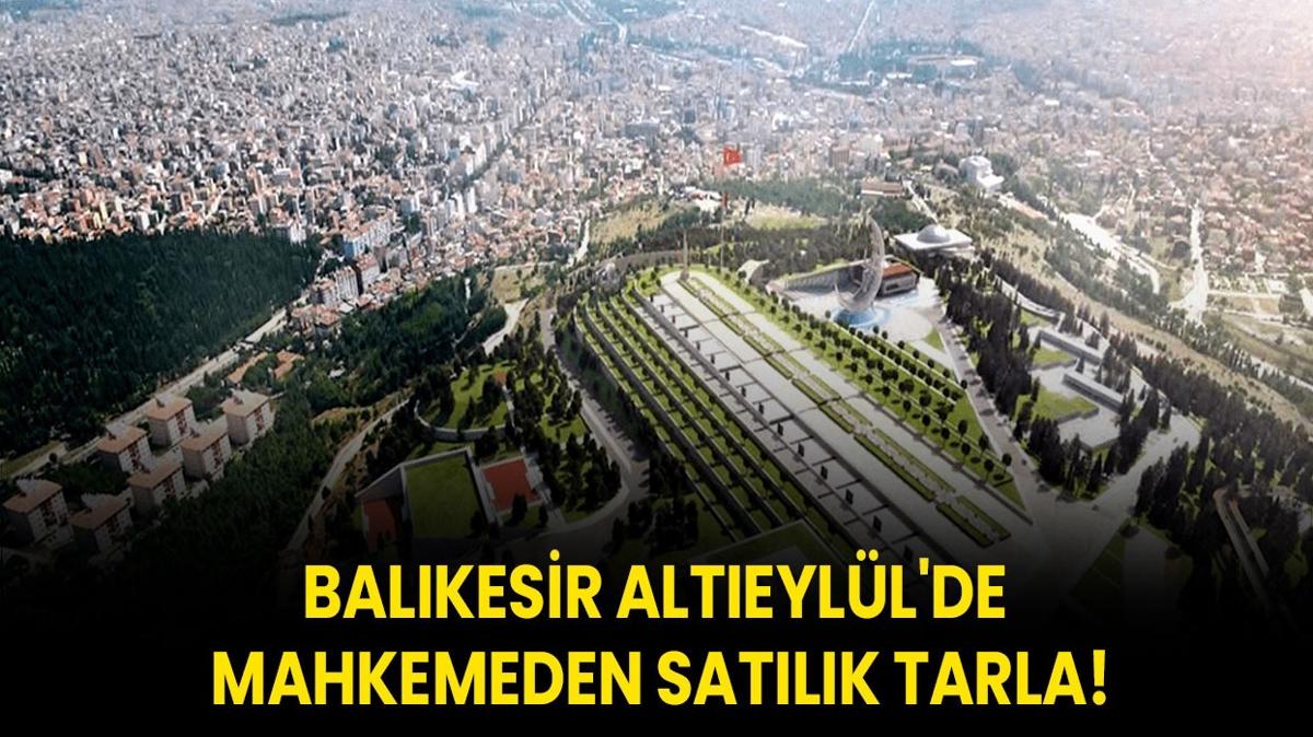 Balkesir Alteyll'de mahkemeden satlk tarla!