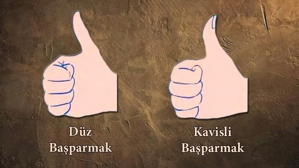 Kiilik testi: Baparman se! Zekan m yoksa hafzan m gl ren...