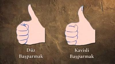 Kiilik testi: Baparman se! Zekan m yoksa hafzan m gl ren...