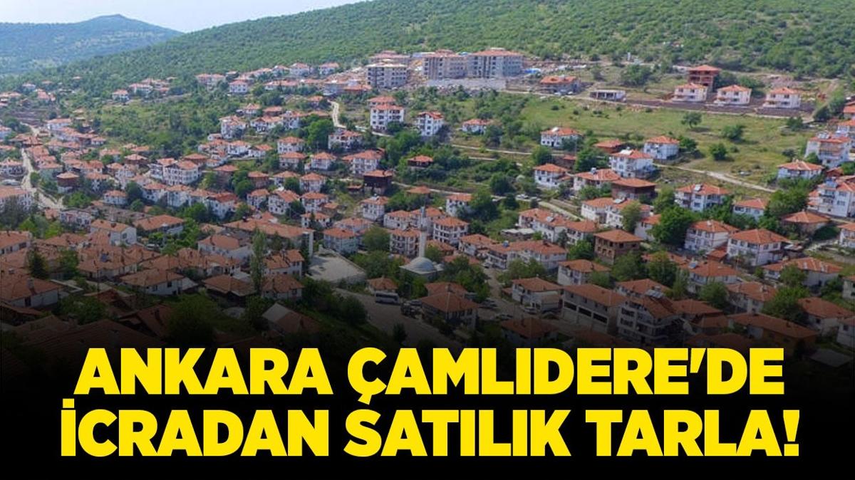 Ankara amldere'de icradan satlk tarla!