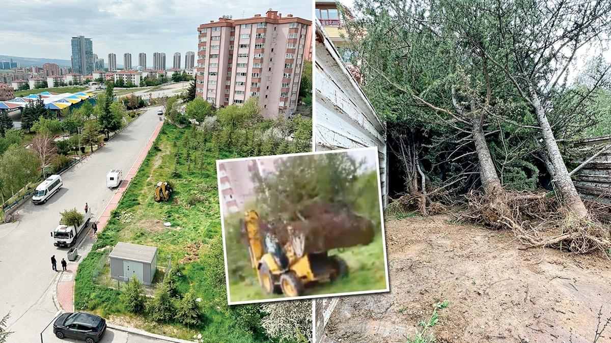 CHP'li belediyeden aa katliam
