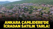Ankara amldere'de icradan satlk tarla!