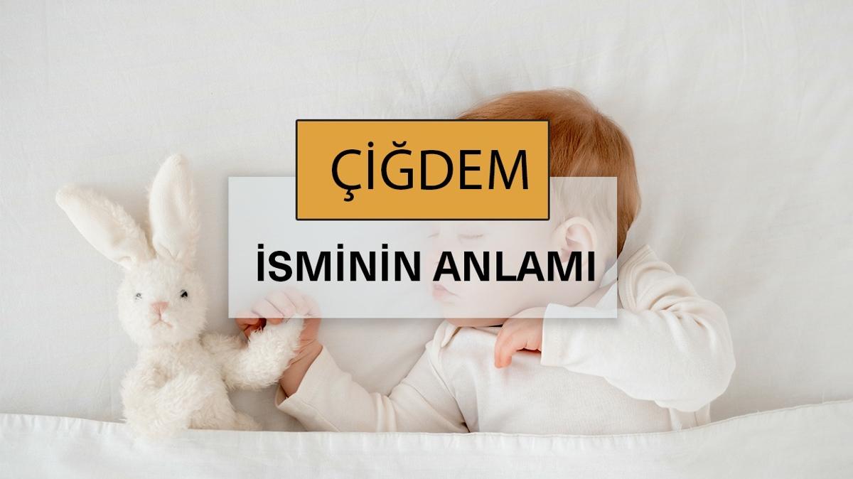 idem isminin anlam nedir" idem ne demek, kelime anlam ve kkeni