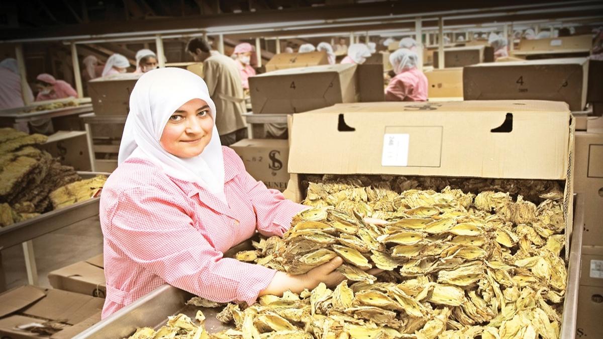 ifti-hracat ibirliiyle 36 milyar dolar dviz