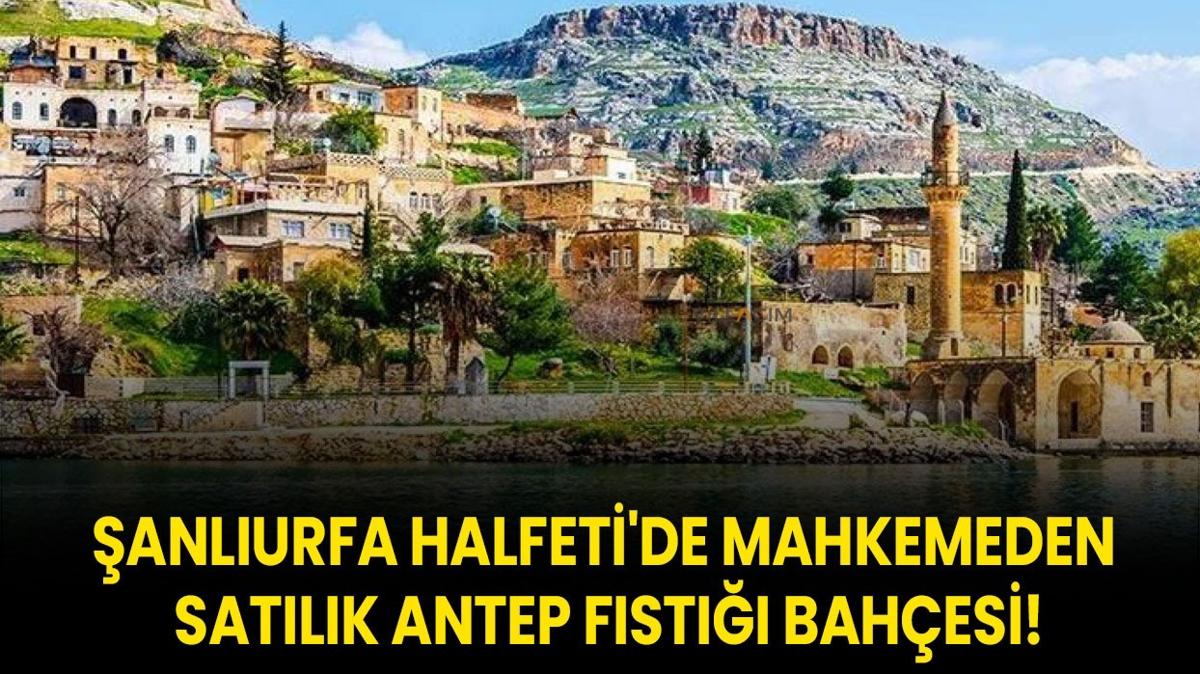 anlurfa Halfeti'de mahkemeden satlk antep fst bahesi!