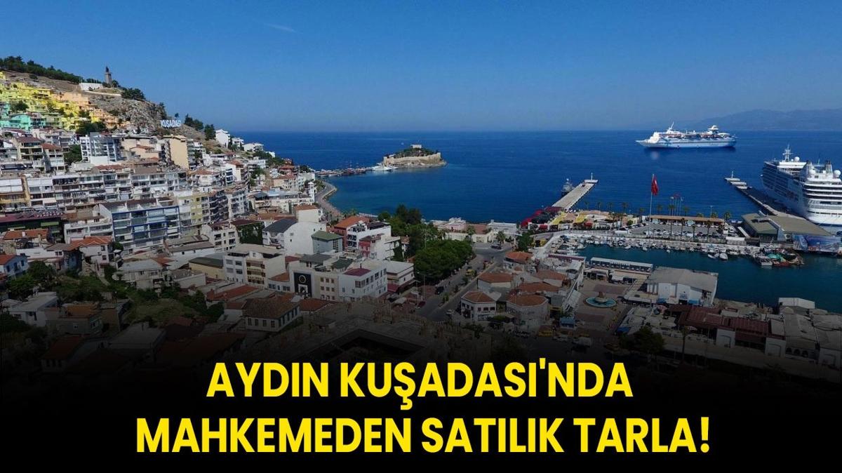Aydn Kuadas'nda mahkemeden satlk tarla!