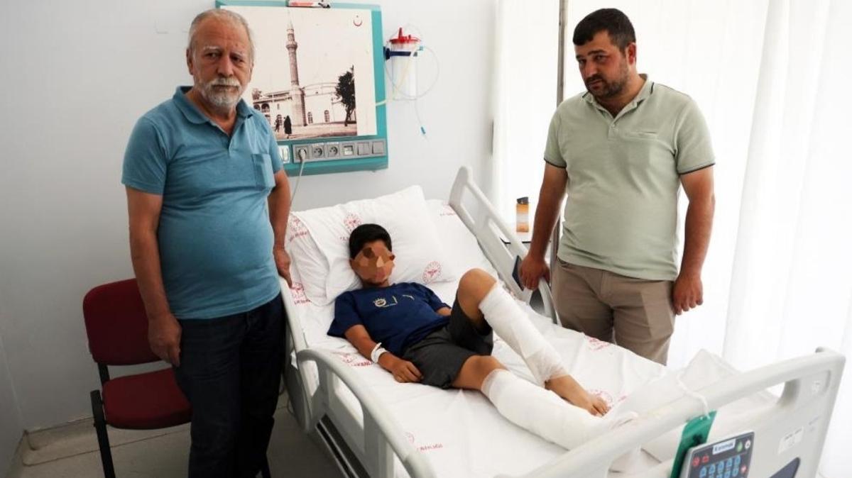 Sahipsiz kpekler yaralad, aile lgna dnd: Sokaktaki canavara sahip kmasnlar