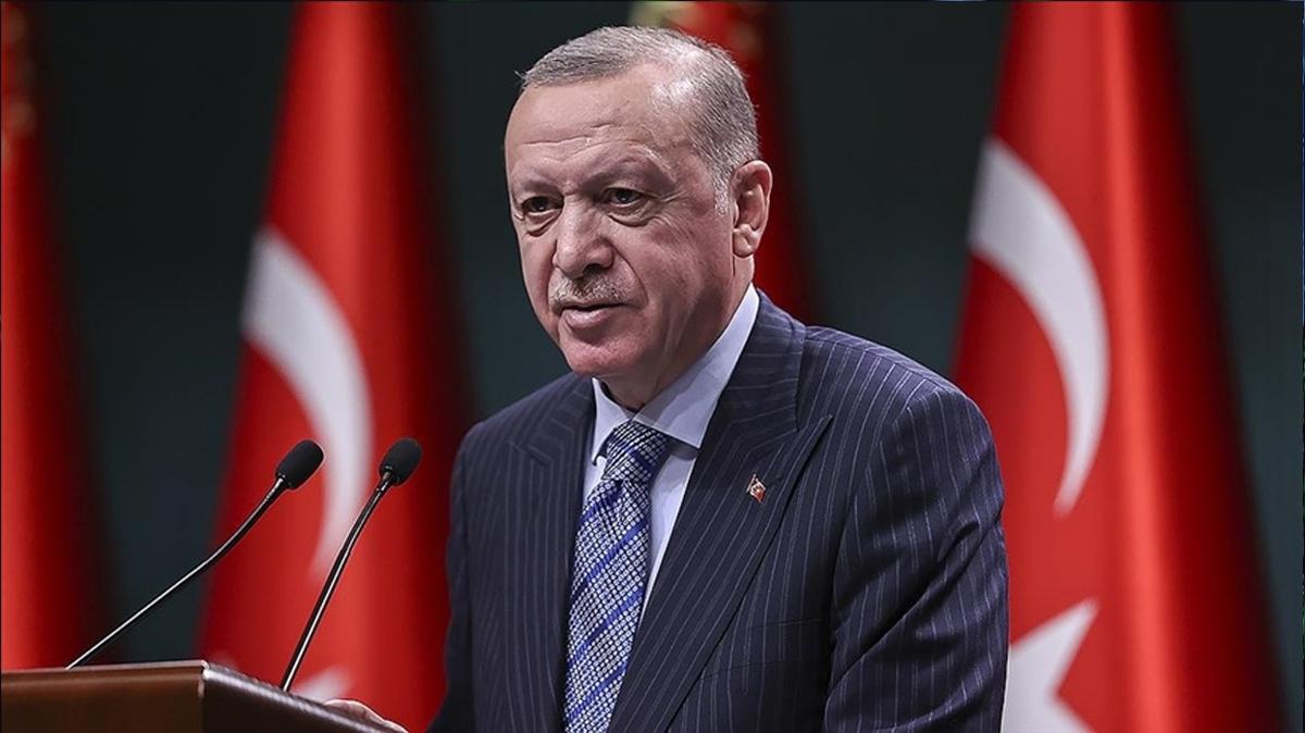 Bakan Erdoan Macaristan'dan yurda dnd