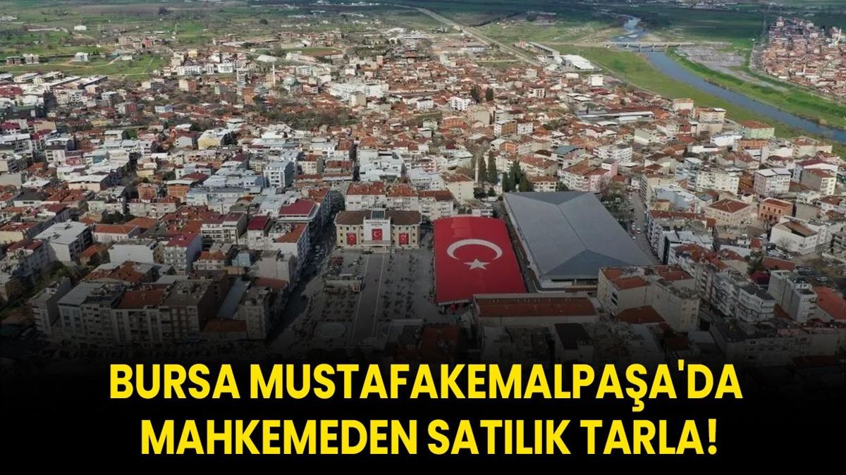 Bursa Mustafakemalpaa'da mahkemeden satlk tarla!