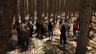 Isparta'da ormanlara giri 15 Kasm'a kadar yasakland