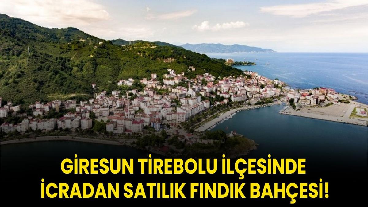 Giresun Tirebolu ilesinde icradan satlk fndk bahesi!