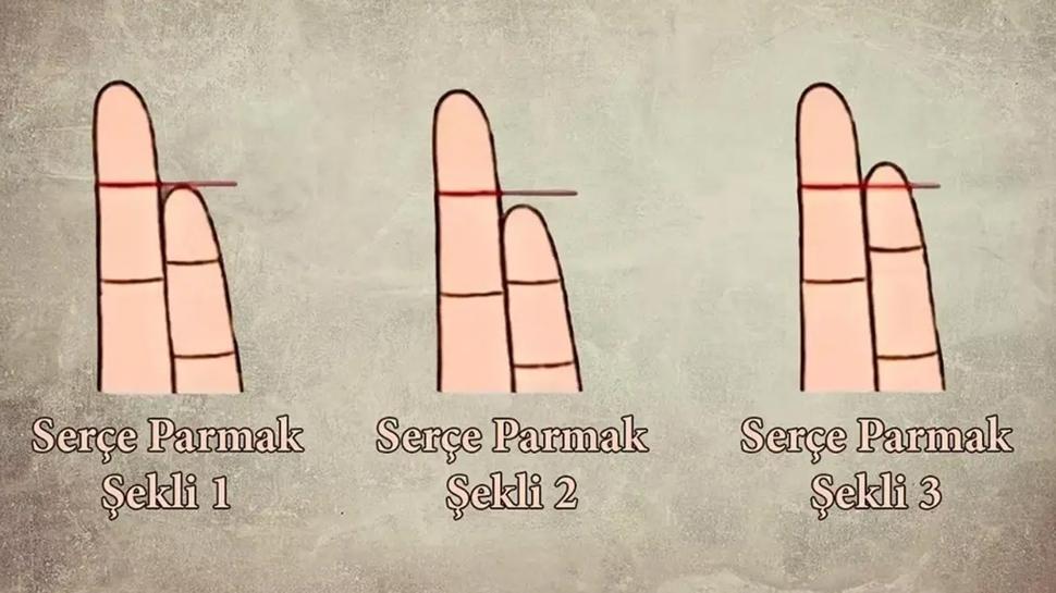 Kiilik testi: Zeki misin gvenilir mi? Parmak eklini se ve ren...