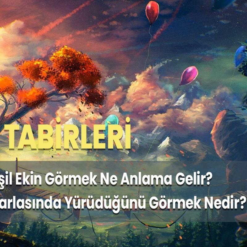 Rüyada Yeşil Ekin Görmek Ne Anlama Gelir? Yeşil Ekin Tarlasında Yürüdüğünü Görmek Nedir?