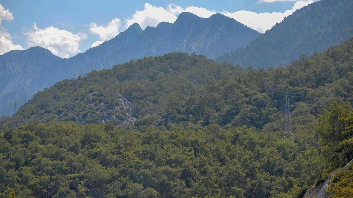 zmir'de yangn nlemi: Ormanlara giri yasak
