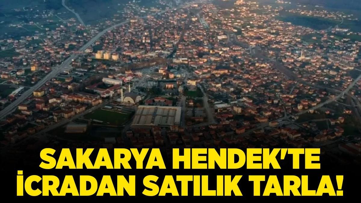 Sakarya Hendek'te 7.215.417 TL'ye icradan satlk tarla!