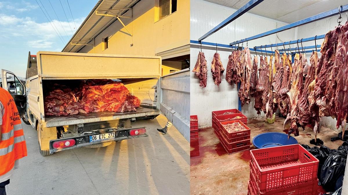 Kaak mezbahada 2.5 ton at eti