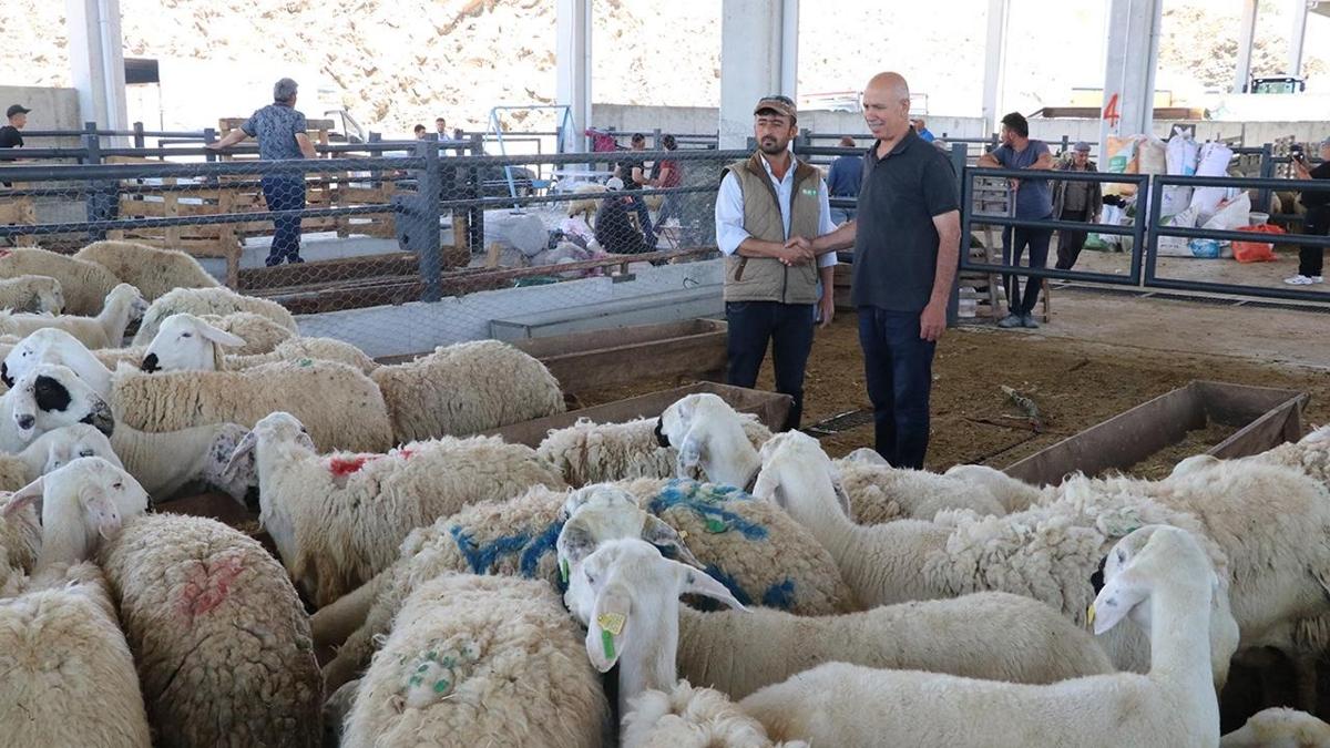 Hayvancla bayram destei... Et ve St Kurumu, satlamayan kurbanlar alacak