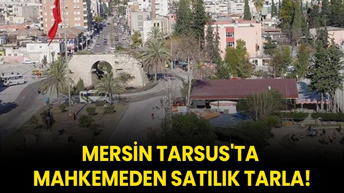 Mersin Tarsus'ta mahkemeden satlk tarla!