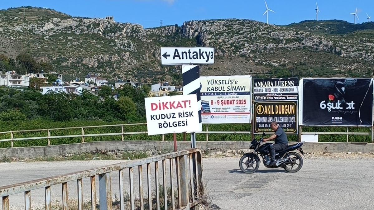 Kuduz karantinas balad! Babo kpekler toplatlyor