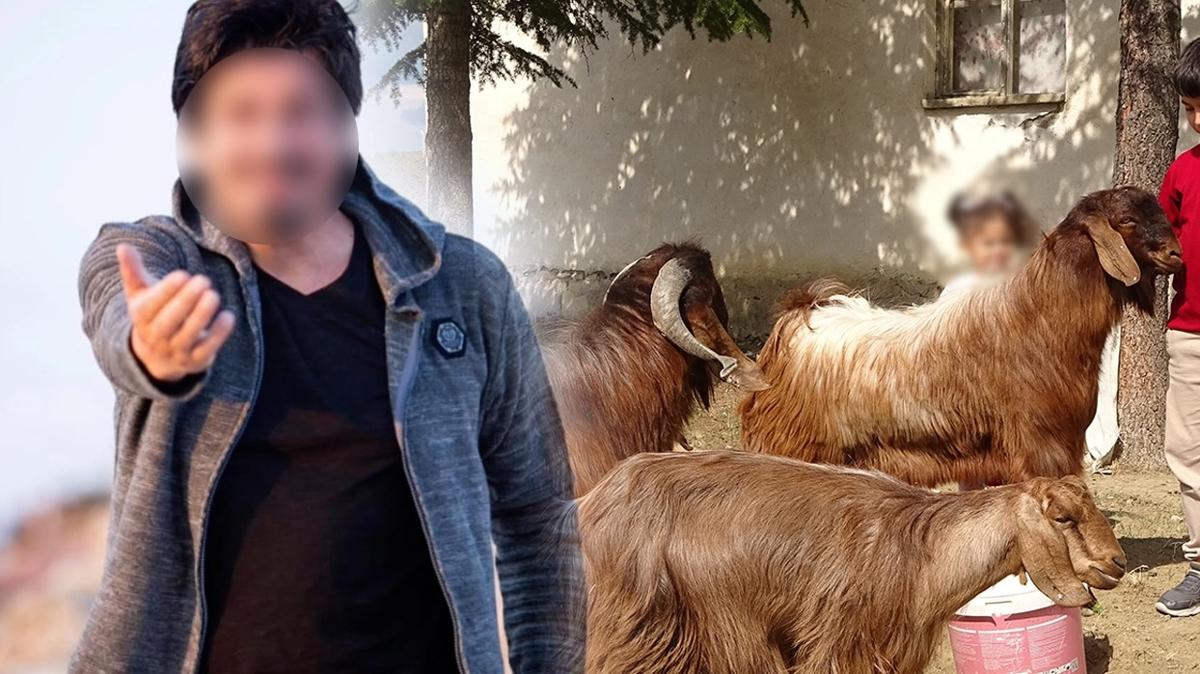 Hangi nlnn stannesi keiymi" Ortaya kan gerek oke etti