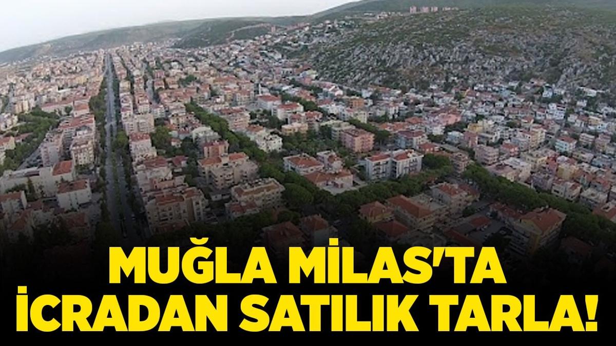 Mula Milas'ta 4.722.839 TL'ye icradan satlk tarla!