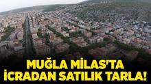 Mula Milas'ta 4.722.839 TL'ye icradan satlk tarla!
