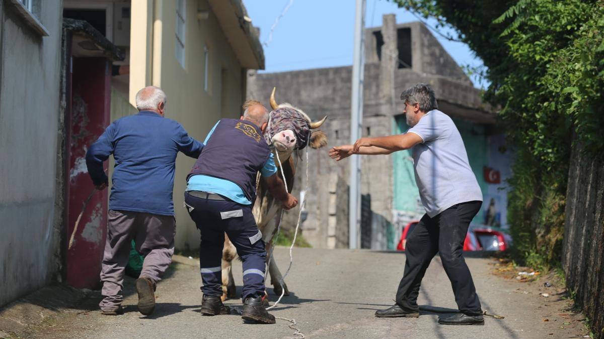 kurbanl�k kurban bayram� firar tim foto�raflar� resimleri