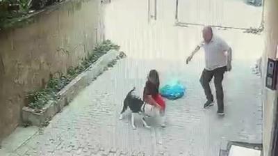stanbul'da pitbull deheti: 7 yandaki ocuk yaraland