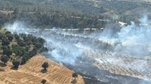 Adana'da ormanlk alanda kan yangn sndrld