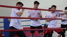 Erkek Boks Milli Takm, Dnya Challenge Turnuvas'na hazrlanyor