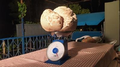 Ta zannetti, gerek ok etti... 