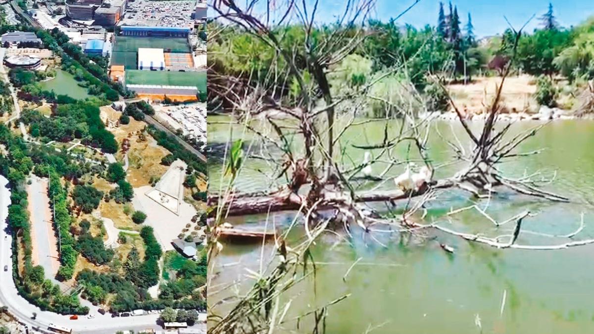 Bakrky  Botanik Park  14 aydr ryor