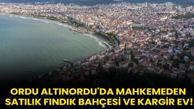 Ordu Altnordu'da mahkemeden satlk fndk bahesi ve kargir ev!