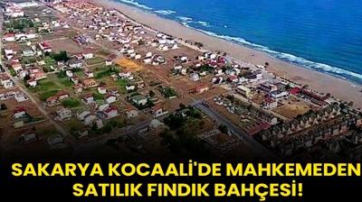 Sakarya Kocaali'de mahkemeden satlk fndk bahesi!