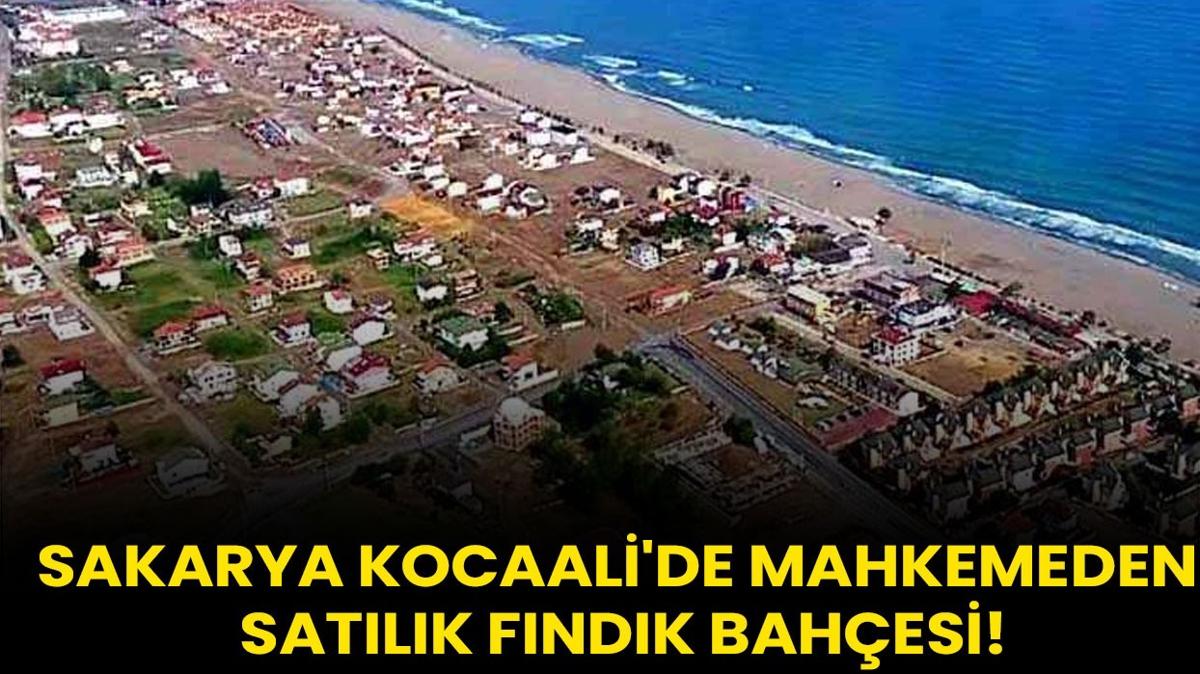Sakarya Kocaali'de mahkemeden satlk fndk bahesi!