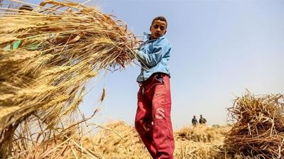 Trkiye ile UNICEF'ten ocuk iiliiyle mcadelede yeni adm