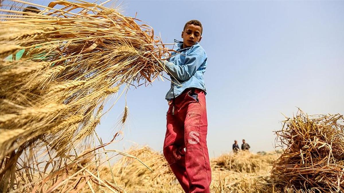 Trkiye ile UNICEF'ten ocuk iiliiyle mcadelede yeni adm