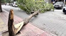 Siirt'te aa yola devrildi: 2 yaral