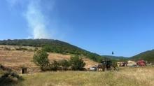 Tokat'ta ormanlk alanda yangn