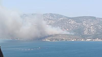 zmir Karaburun'da orman yangn