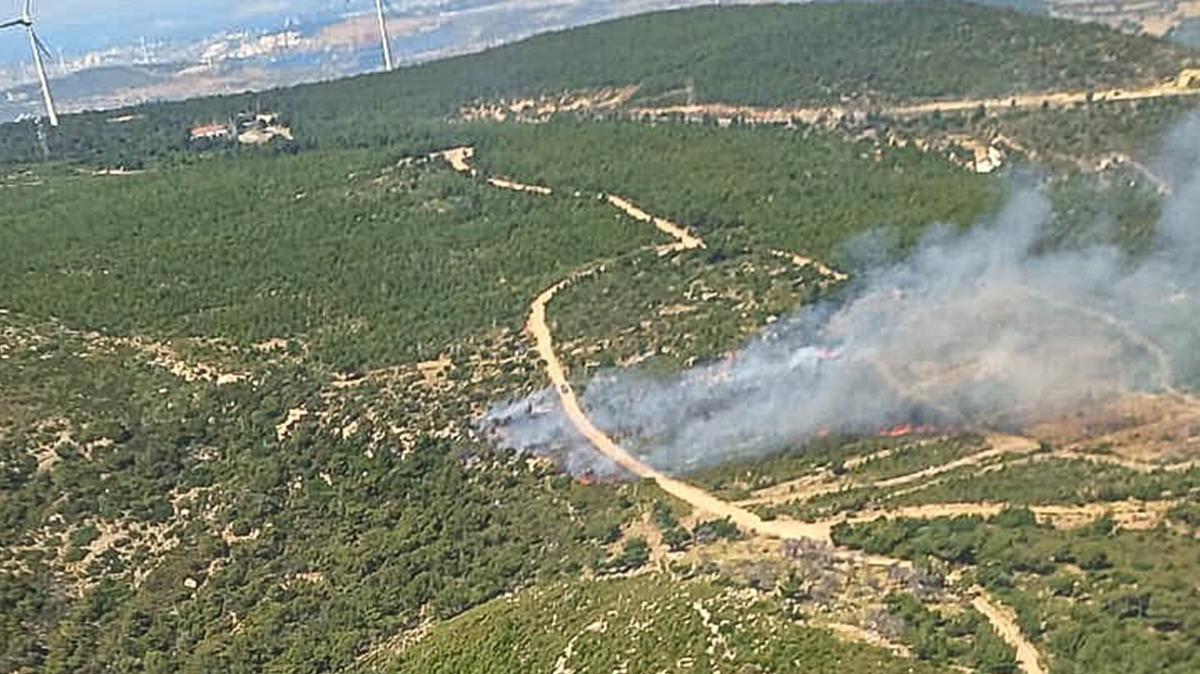 zmir Foa'da orman yangn