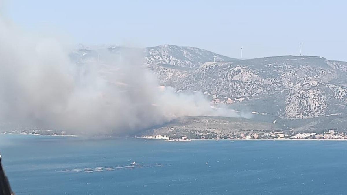 zmir Karaburun'da orman yangn