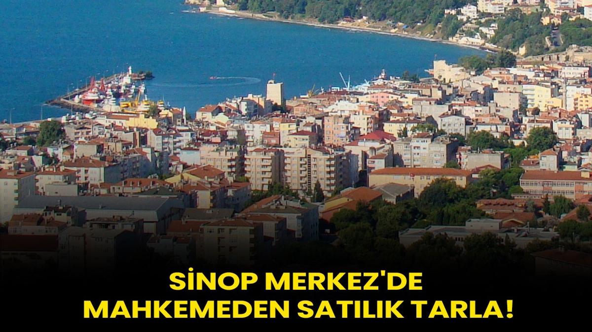 Sinop Merkez'de mahkemeden satlk tarla!