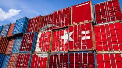 D8'de Trkiye rzgar: 5 ylda 126 milyar dolarlk ticaret