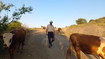 Hayvancla yabanc oban dopingi... Sektr nefes alacak