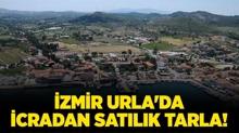 zmir Urla'da icradan satlk tarla!