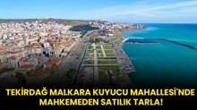 Tekirda Malkara Kuyucu Mahallesi'nde mahkemeden satlk tarla!