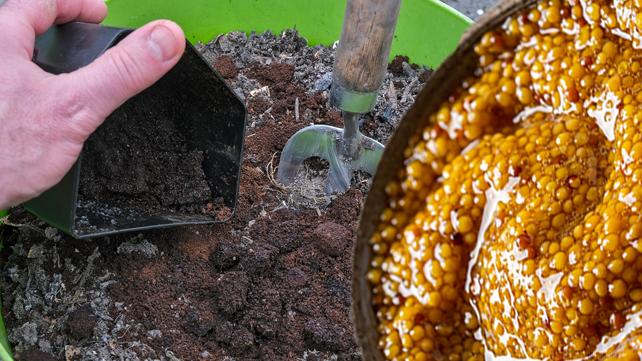 ieklerin dibindeki bceklere, sineklere kesin zm: 1 dilim yetiyor! Ne koku ne sinek kalyor